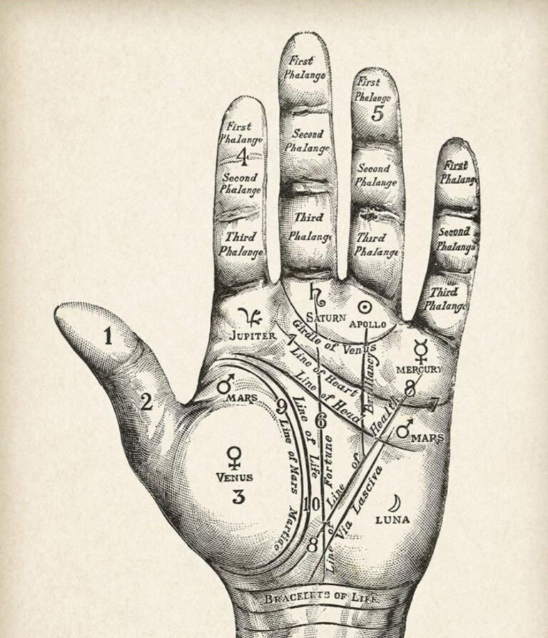 Astrology Institute in Gaya