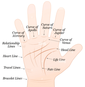 Palmistry and Hand Reading Service in Gaya